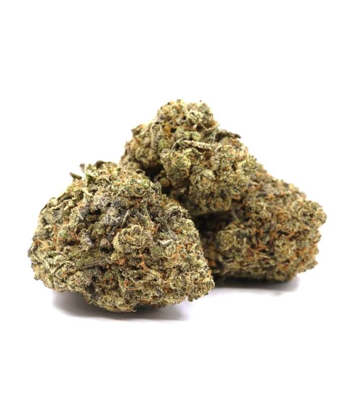 Gelato2-Finished-1.jpg