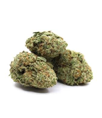 Girl Scout Cookies