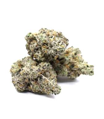 Gorilla Cookies