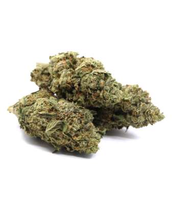 Hindu Kush