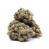 Jungle-fire-Finished-1.jpg
