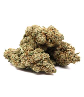 Lemon Haze