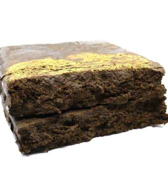 Lion Moroccan Hash