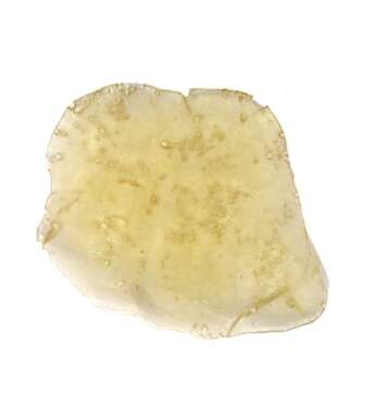 Naked House Shatter – Pinetar (1g)