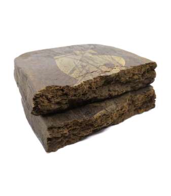 Playboy Hash