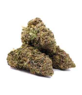 Purple Punch