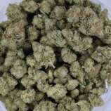 berry-pie-bag-1.jpg