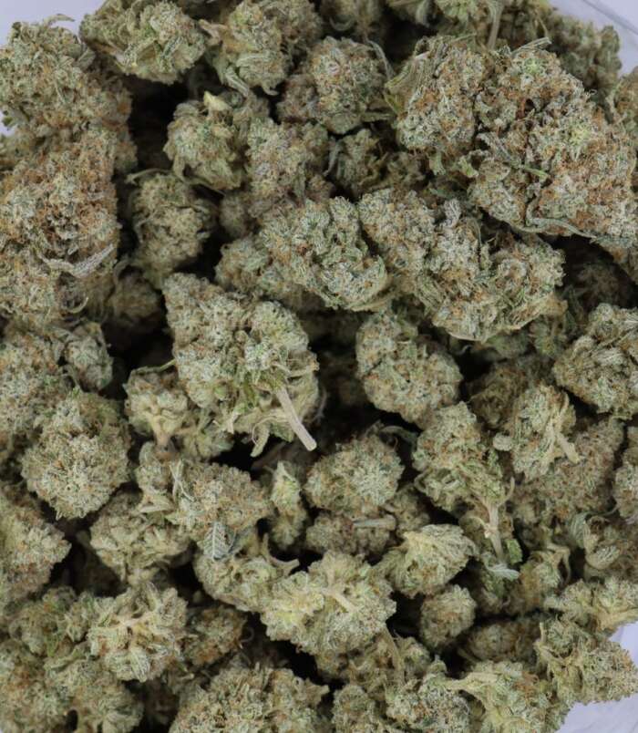 berry-pie-bag-1.jpg