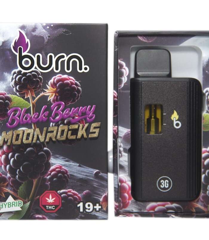 black-berry-moonrocks-front-scaled-1-1.jpg black-berry-moonrocks-front-scaled-1-1.jpg
