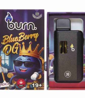 Burn 3mL Disposable Vapes – Blueberry OG THC Distillate