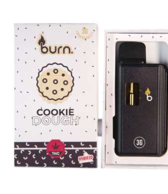 Burn 3mL Disposable Vapes – Cookie Dough THC Distillate