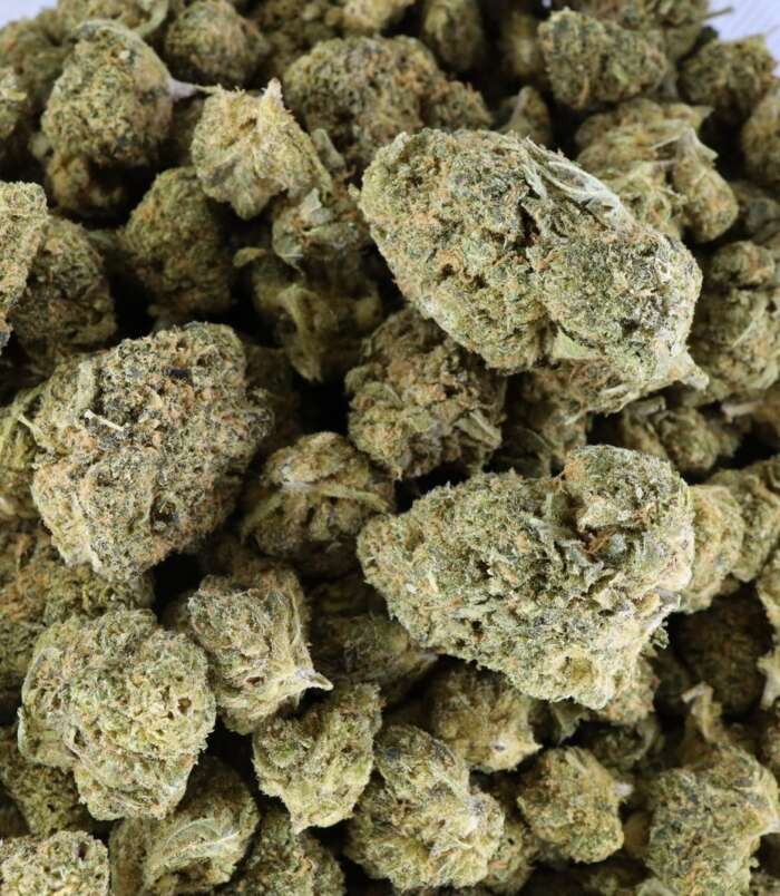 cookies-bag-1.jpg