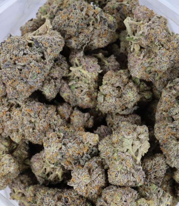 electric-kool-aid-bag-1.jpg electric-kool-aid-bag-1.jpg