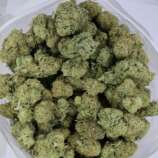 gsc-bag-2-1.jpg