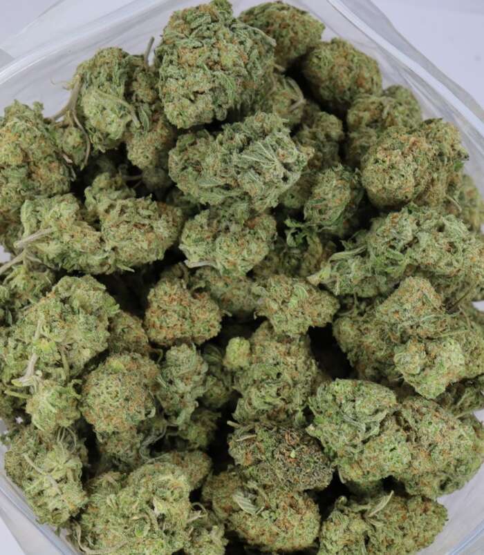 gsc-bag-2-1.jpg