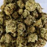 high-octane-bag-1.jpg