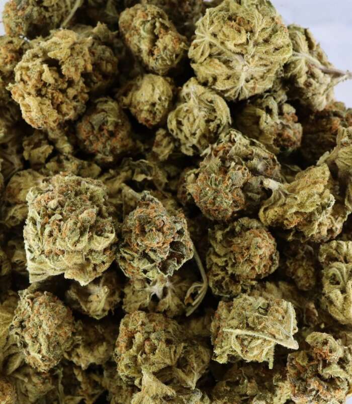 high-octane-bag-1.jpg