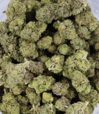 hindu-kush-bag-1.jpg