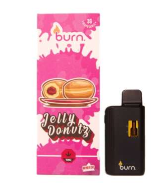Burn 3mL Disposable Vapes – Jelly Donut THC Distillate