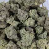 jungle-fire-bag-1.jpg