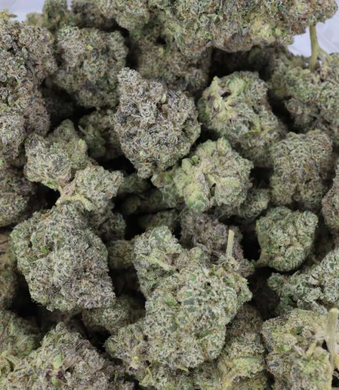jungle-fire-bag-1.jpg