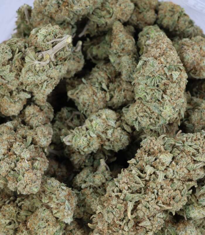 lemon-haze-bag-1.jpg lemon-haze-bag-1.jpg