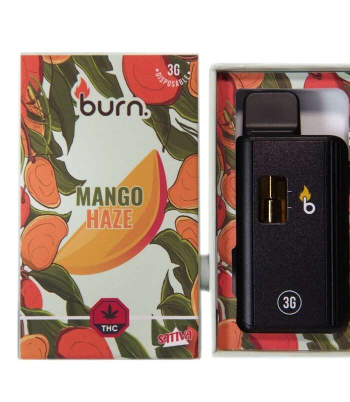 mango-front-scaled-1-1.jpg mango-front-scaled-1-1.jpg