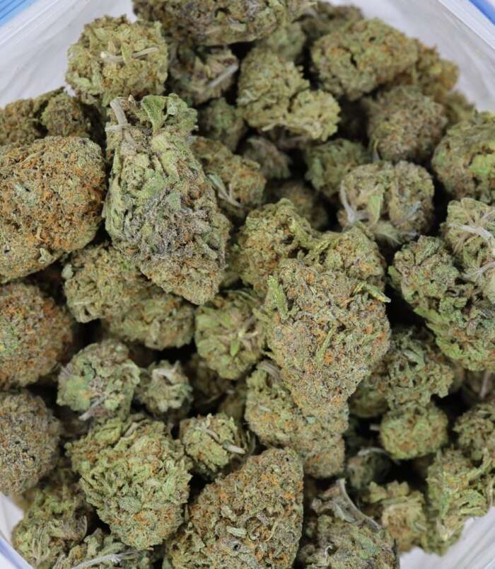 nuken-bag-1.jpg
