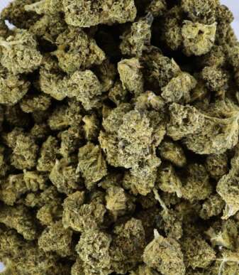 og-kush-bag-1.jpg