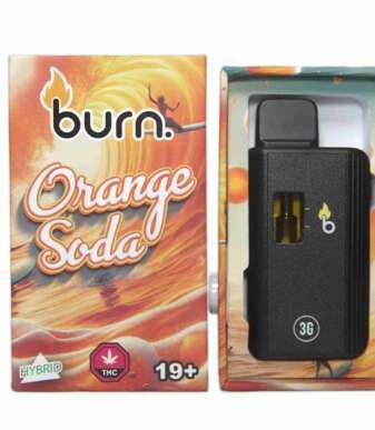 Burn 3mL Disposable Vapes – Orange Soda THC Distillate