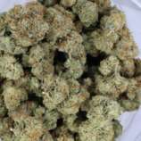 phantom-og-bag-1.jpg