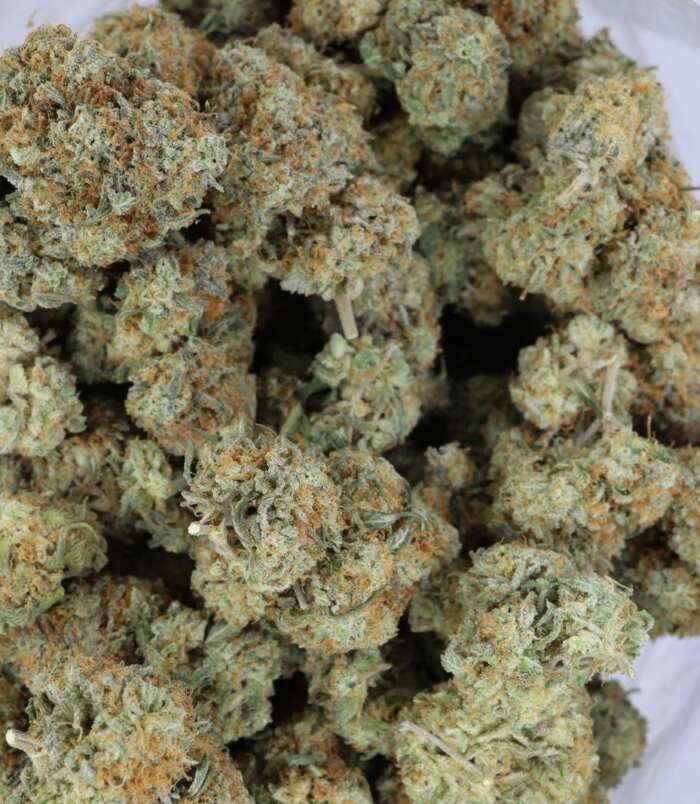 phantom-og-bag-1.jpg