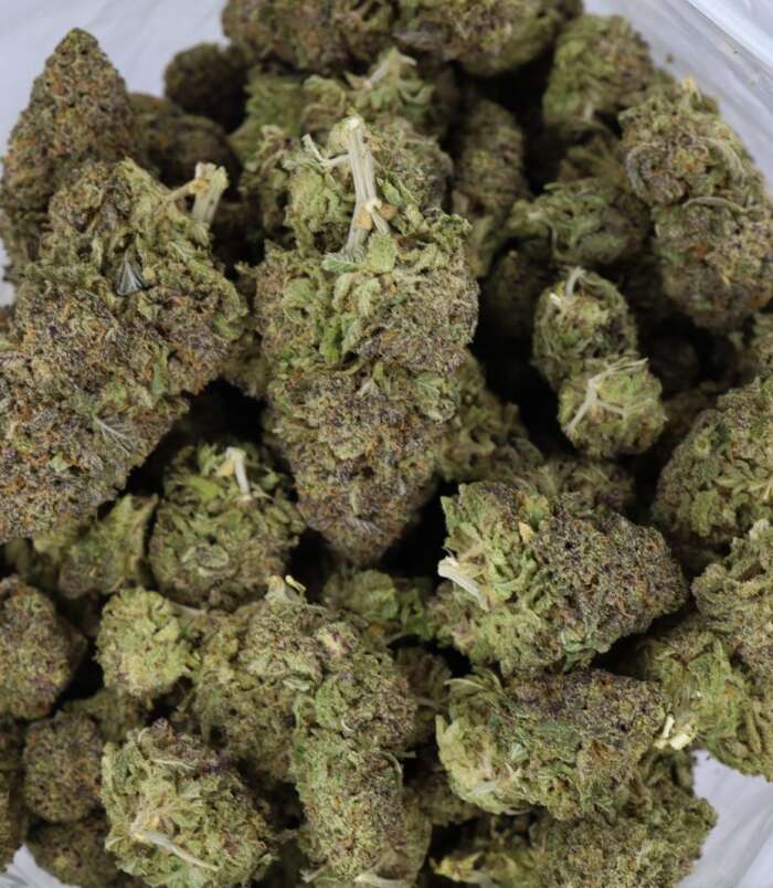 purple-punch-bag-1.jpg