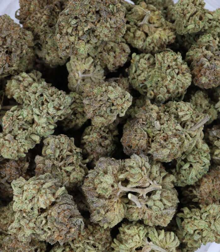 rocket-fuel-bag-1.jpg