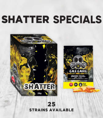 gas-gang-shatter-specials-starting-at